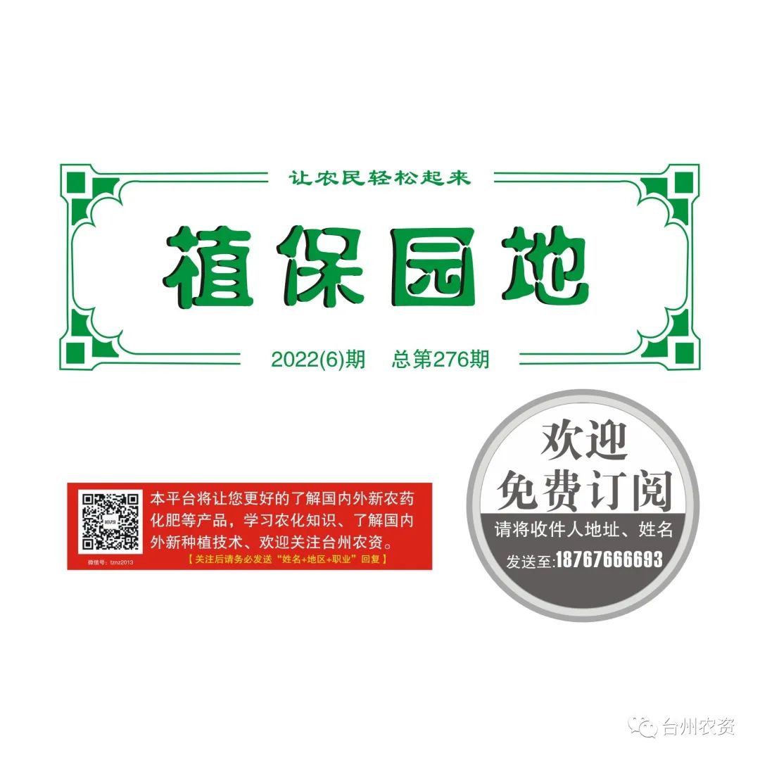 雜交水稻制種增施必奧硅、持力硼成熟期表現(xiàn)情況